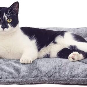 Furhaven ThermaNAP Self-Warming Cat Bed