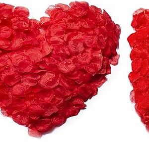 HongyiTime 1200 PCS Artificial Silk Rose Petals Decoration for Romantic
