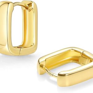 925 Sterling Silver Hoop Earrings for Women Trendy Hypoallergenic 14K