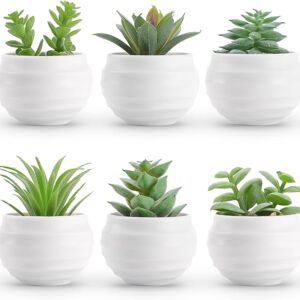 Der Rose Set of 6 Succulents Plants Artificial in Pots Small Fake