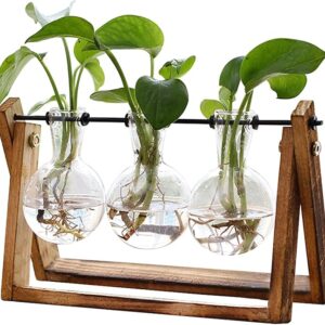 FLOWER Plant Terrarium with Wooden Stand,