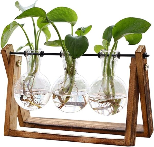 FLOWER Plant Terrarium with Wooden Stand,