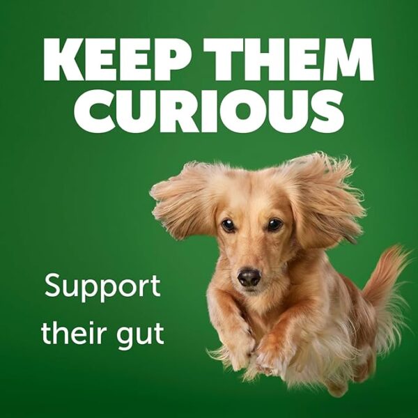 Daily Care Gut+ Mobility, 60 postbiotic Dog Supplement Chews - Image 2