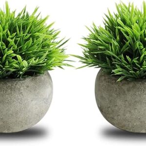 THE BLOOM TIMES 2 Pcs Small Fake Plants for Home Decor Indoor,