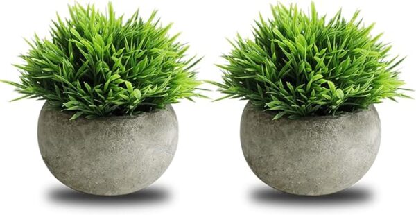 THE BLOOM TIMES 2 Pcs Small Fake Plants for Home Decor Indoor,